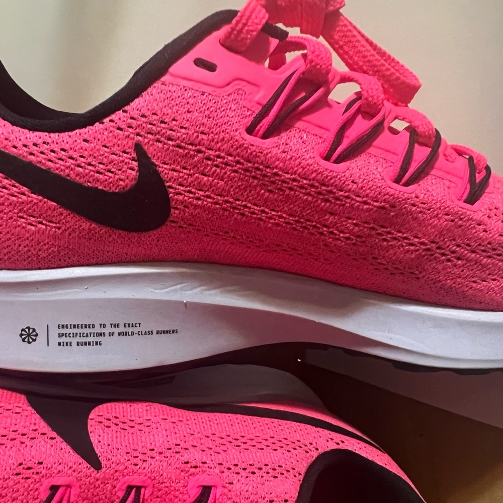 Air zoom pegasus